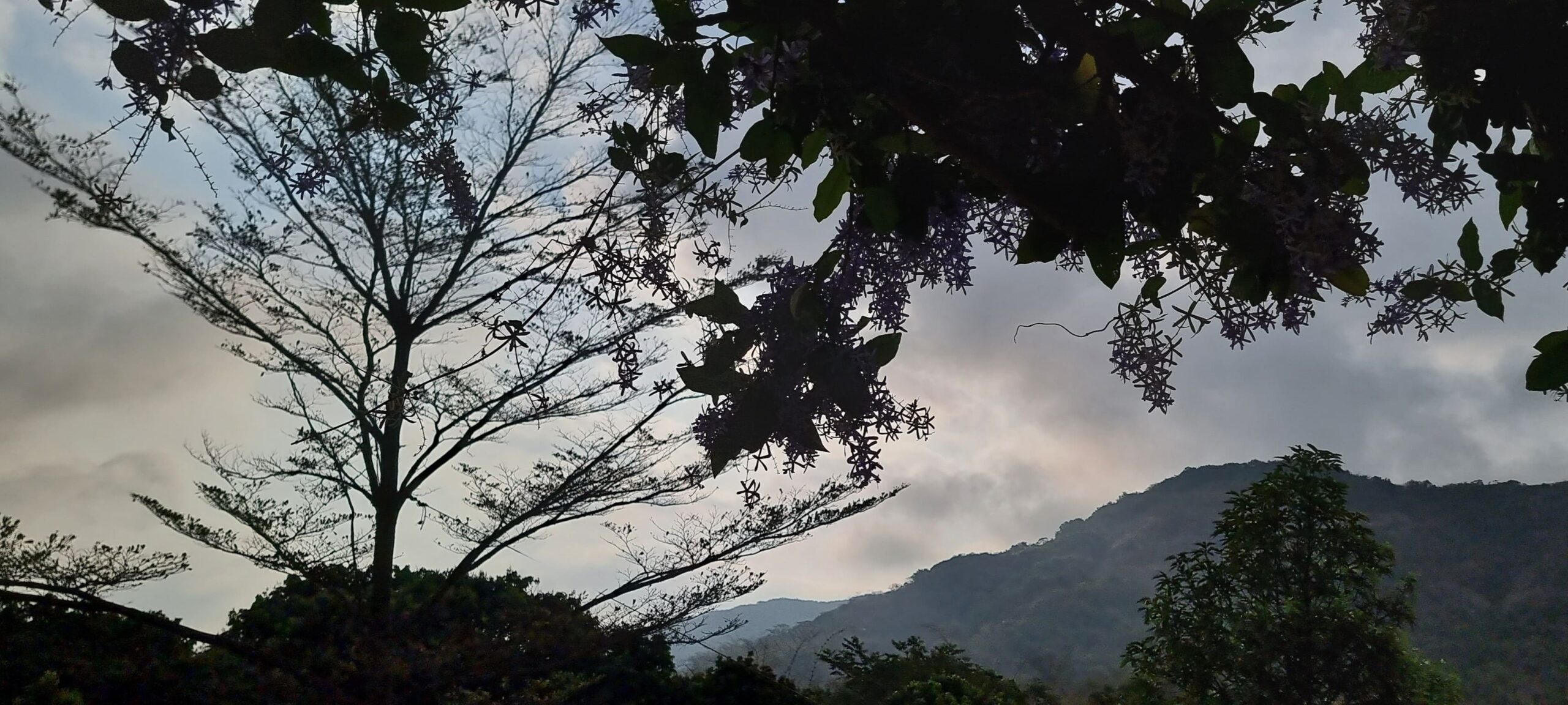 Couple-Friendly Places to Visit with Private Pools and Jacuzzis at Lonavala