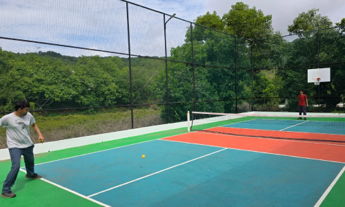 Joy of Pickleball